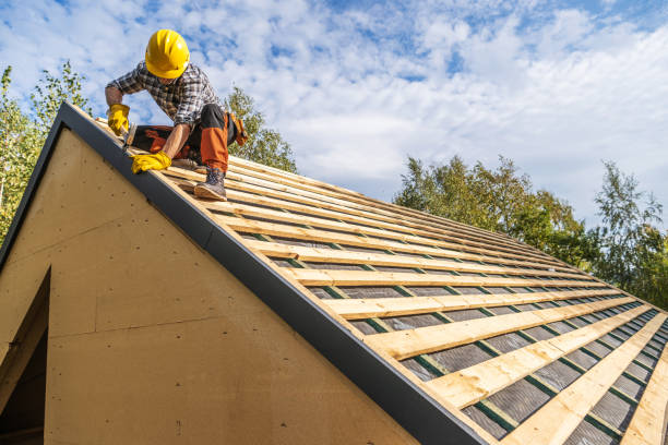 Best Gutter Installation and Roofing  in Amberley, OH